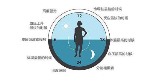 2017诺贝尔医学奖破解人类生物钟基因密码