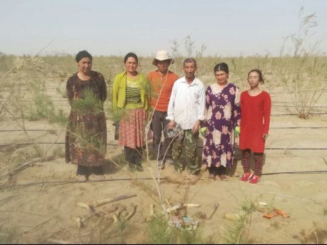 图为新疆和田市于田县奥依托格拉克乡当地农民