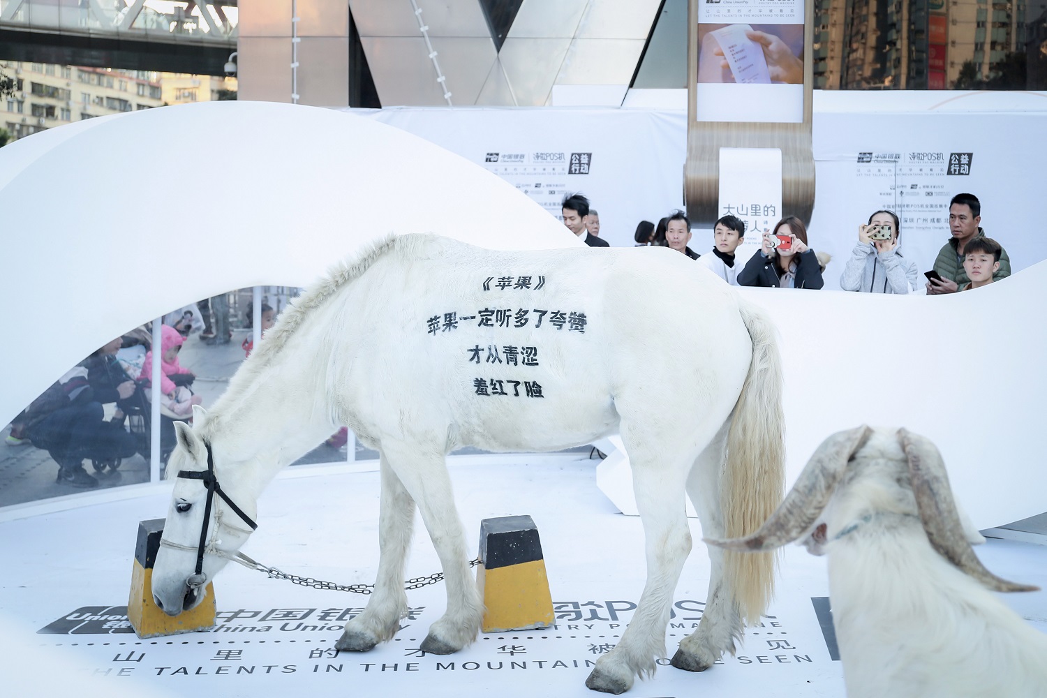 广州迎来了一场特别的动物诗歌展