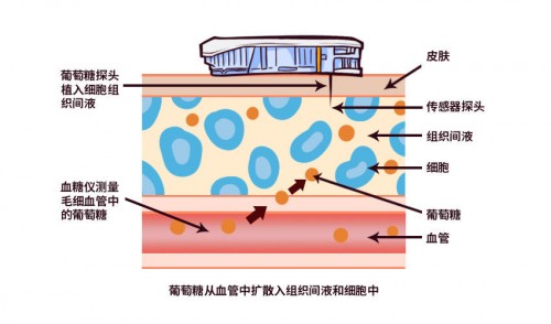 什么是功能原理图_白带是什么图片(3)